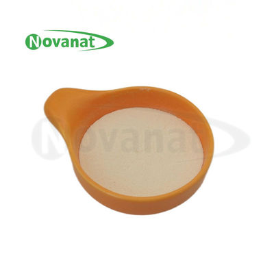 Bifidobacterium animalis subsp. lactis BI516 /500billionCFU/g/Vegan/Allergen Free/Gluten Free/Dairy Free