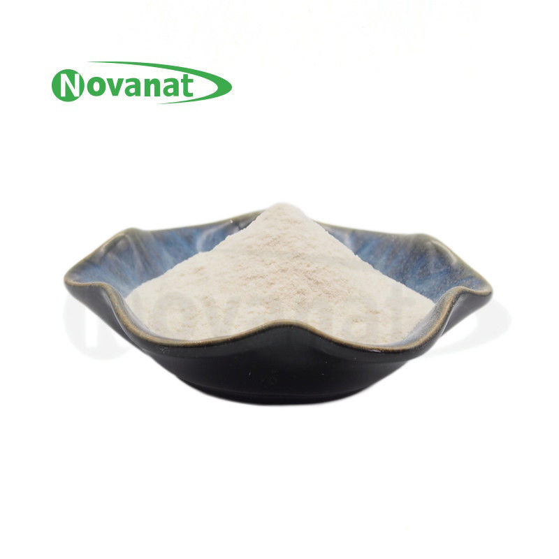 Bifidobacterium Longum Subsp Longum BL88-Onlly / Vegan / Allergen Free / Gluten Free / Dairy Free 