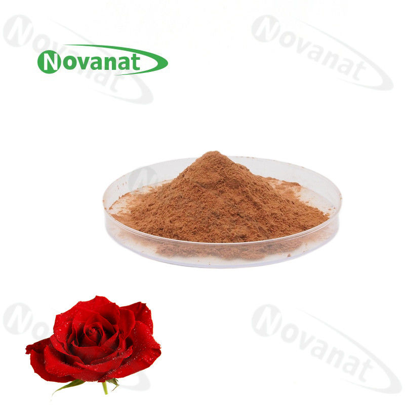 Rose Flower Extract Powder 4/120% And 25% Polyphenols/Food Beverage