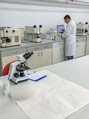 Parabacteroides distasonis PD001 / postbiotici / da bianco a grigio in polvere pastorizzata