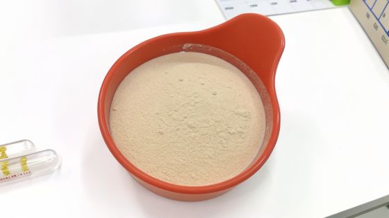 Parabacteroides Distasonis PD001 / postbiotici / da bianco a grigio in polvere utilizzata nelle bevande/ prodotto di migliore qualità