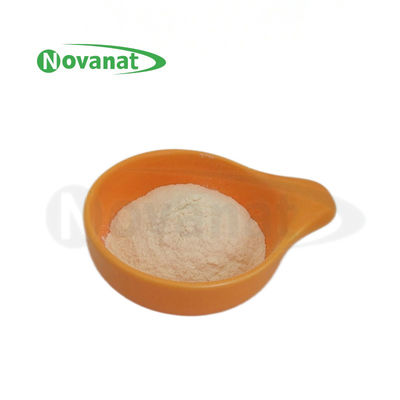 Pediococcus Acidilactici PA10 500 miliardi di CFU/g Probiotici in polvere Vegan/allergenico/senza glutine/senza latticini