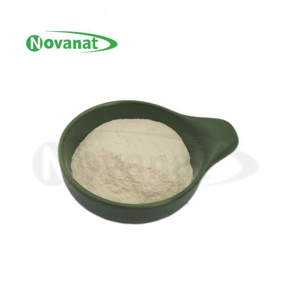 Lacticaseibacillus rhamnosus LR22/Vegano/Libero (allergene/glutene/latticini) /Salute digestiva