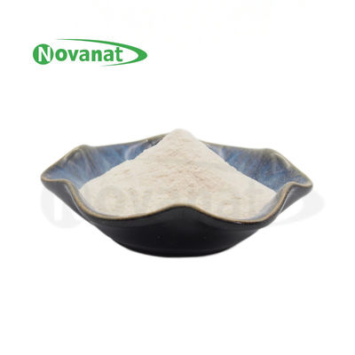 Bifidobacterium Longum Subsp Longum BL88-Only / Vegano / Senza allergene / Gluten / Latticini