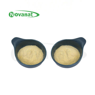 Lactiplantibacillus plantarum LP-Only Postbiotics in polvere Tyndallized / Vegan / Allergen Free / Gluten Free / Dairy Free