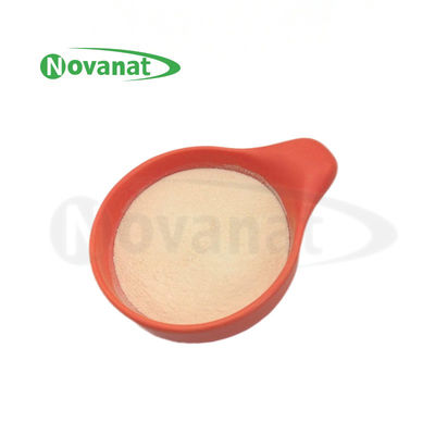 Lacticaseibacillus paracasei LPC28 probiotico / Tyndallized / Vegan / Senza allergeni / Senza glutine / Senza latticini