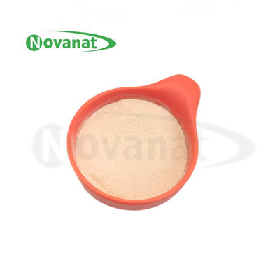 Bifidobacterium animalis subsp. lactis BI516 Postbiotici in polvere Tyndallized / Vegan / Senza allergeni / Senza glutine / Senza latticini