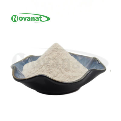 Amylovorus Lam600 50billion CFU/g/Vegan/del lattobacillo libero (allergene/glutine/latteria)